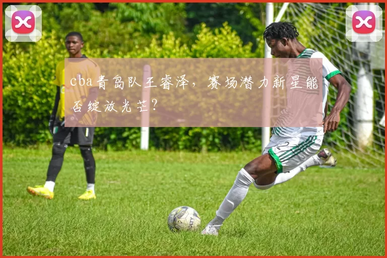 cba青岛队王睿泽，赛场潜力新星能否绽放光芒？