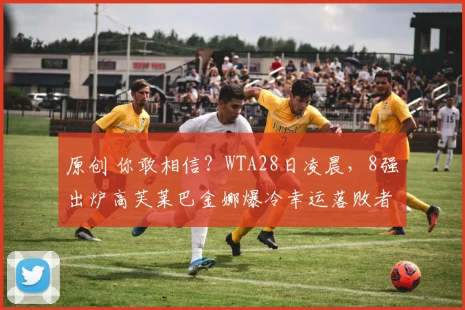 原创 你敢相信？WTA28日凌晨，8强出炉高芙莱巴金娜爆冷幸运落败者躺赢