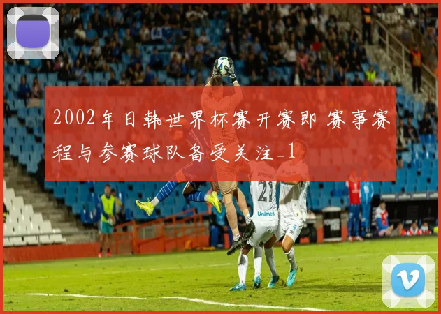2002年日韩世界杯赛开赛即 赛事赛程与参赛球队备受关注_1